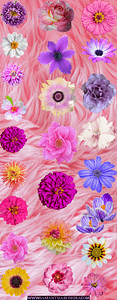 1-4 Background